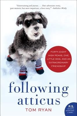 Following Atticus bookcover