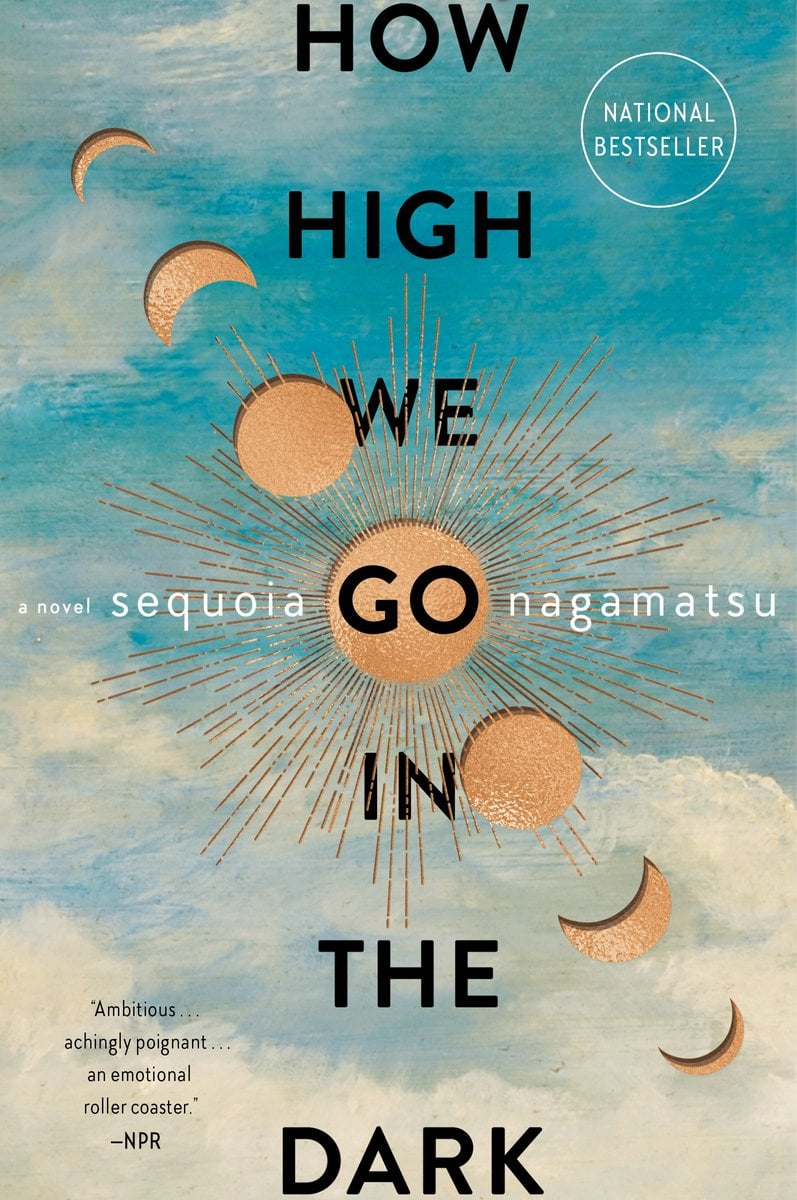 How High We Go in the Dark bookcover