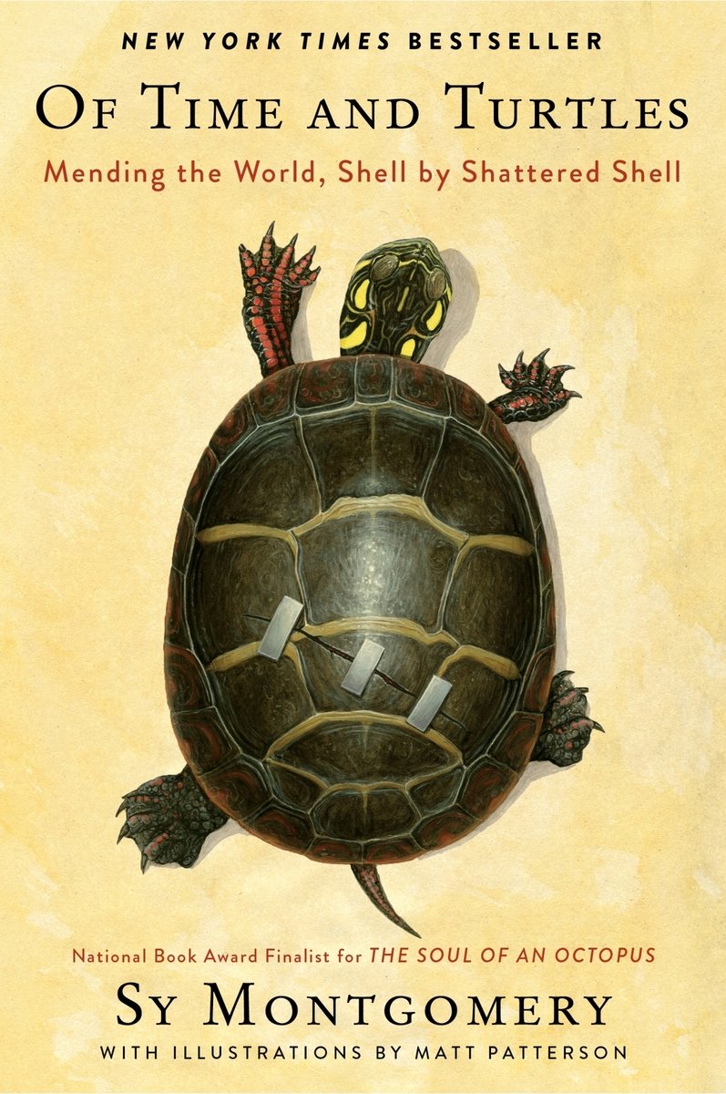 Of Time and Turtles a book by Sy Montgomery and Matt Patterson ...