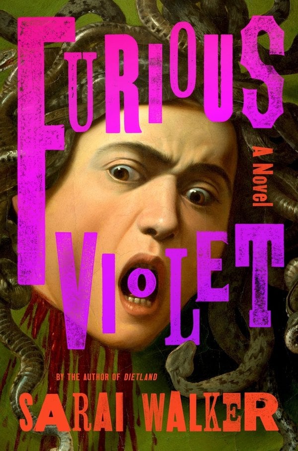Furious Violet bookcover