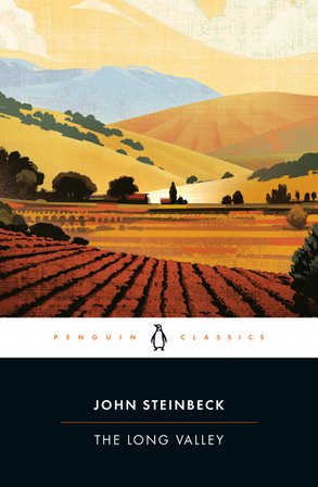 The Long Valley bookcover