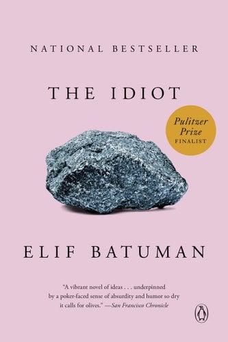 The cover of The Idiot by Elif Batuman. The background is pink and there is a picture of a rock. The title and author are written in times new roman typeset.