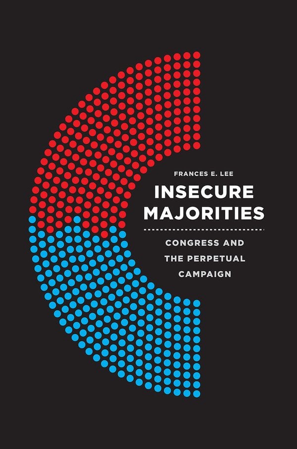 Cover of Insecure Majorities