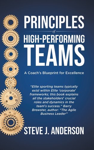 Principles of High Performing Teams: A Coach's Blueprint for Excellence ...