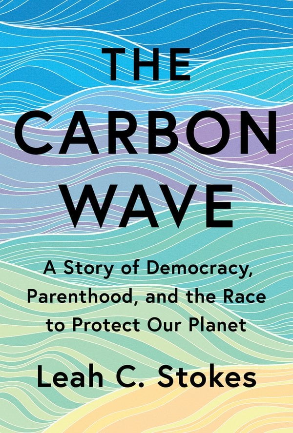 Cover of The Carbon Wave