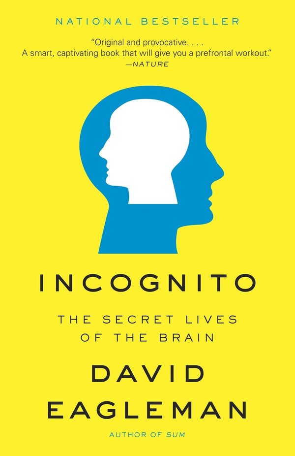 Incognito bookcover