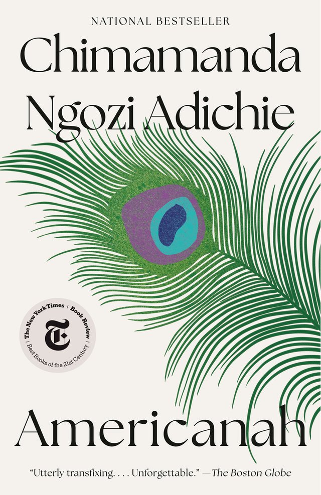 Cover of Americanah by Chimamanda Ngozi Adichie. The text is against a background of red, white, and blue.