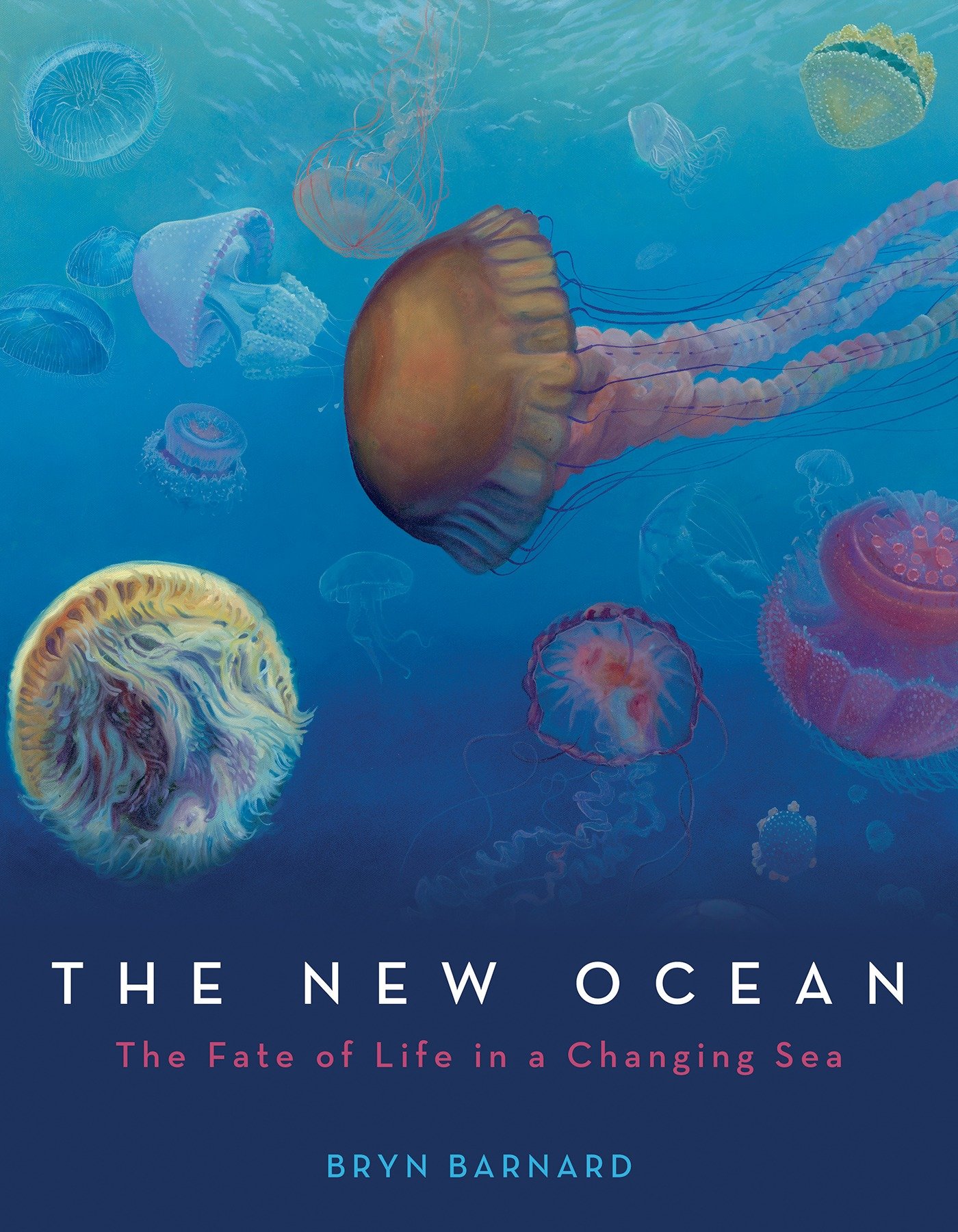 The New Ocean: The Fate of Life in a Changing Sea by Bryn Barnard middle-grade book cover depicting jellyfish of different colors in the ocean.