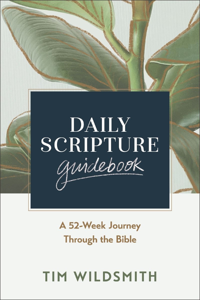 Daily Scripture Guidebook a book by Tim Wildsmith - Bookshop.org US
