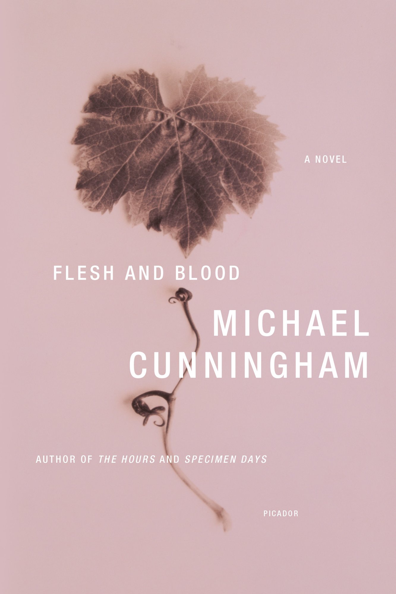 Flesh and Blood by Michael Cunningham, an adult fiction book cover depicting a leaf and stem on a pale pink background