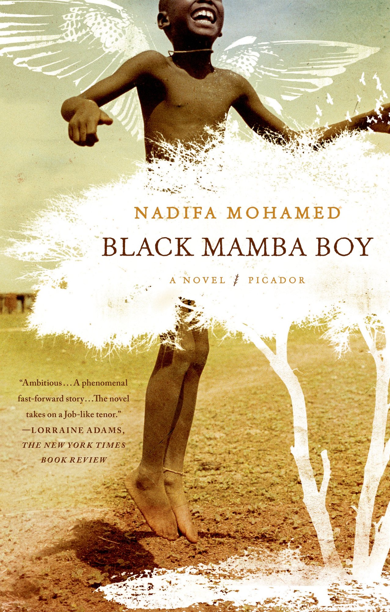 Black Mamba Boy bookcover