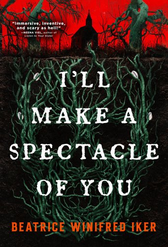 I'll Make a Spectacle of You bookcover