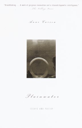 Plainwater bookcover