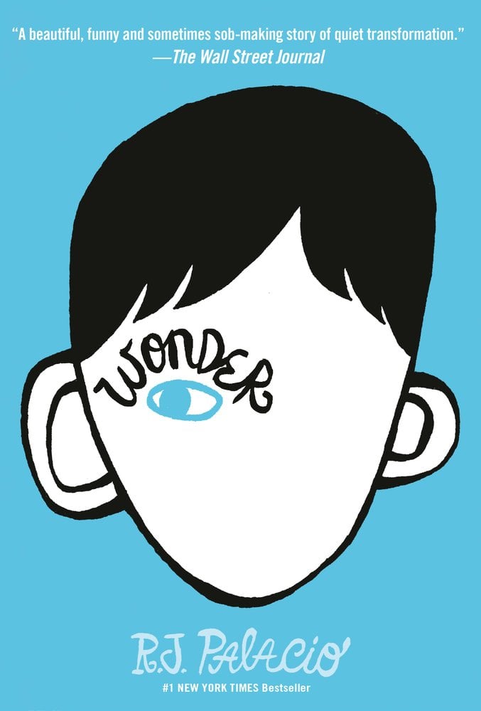 Wonder by R.J. Palacio. The cover is clue with a simple outline of a boy's face, drawing only hair, ears, and one eye.