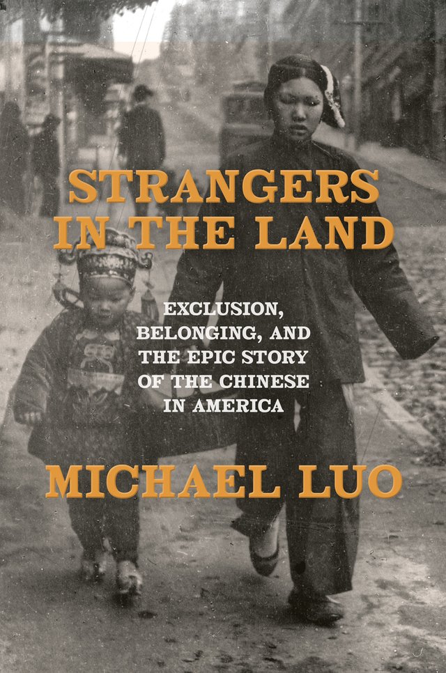 Strangers in the Land: Exclusion, Belonging, and the Epic Story of the Chinese in America by Michael Luo. Cover depicts two Chinese Americans walking on a sidewalk.