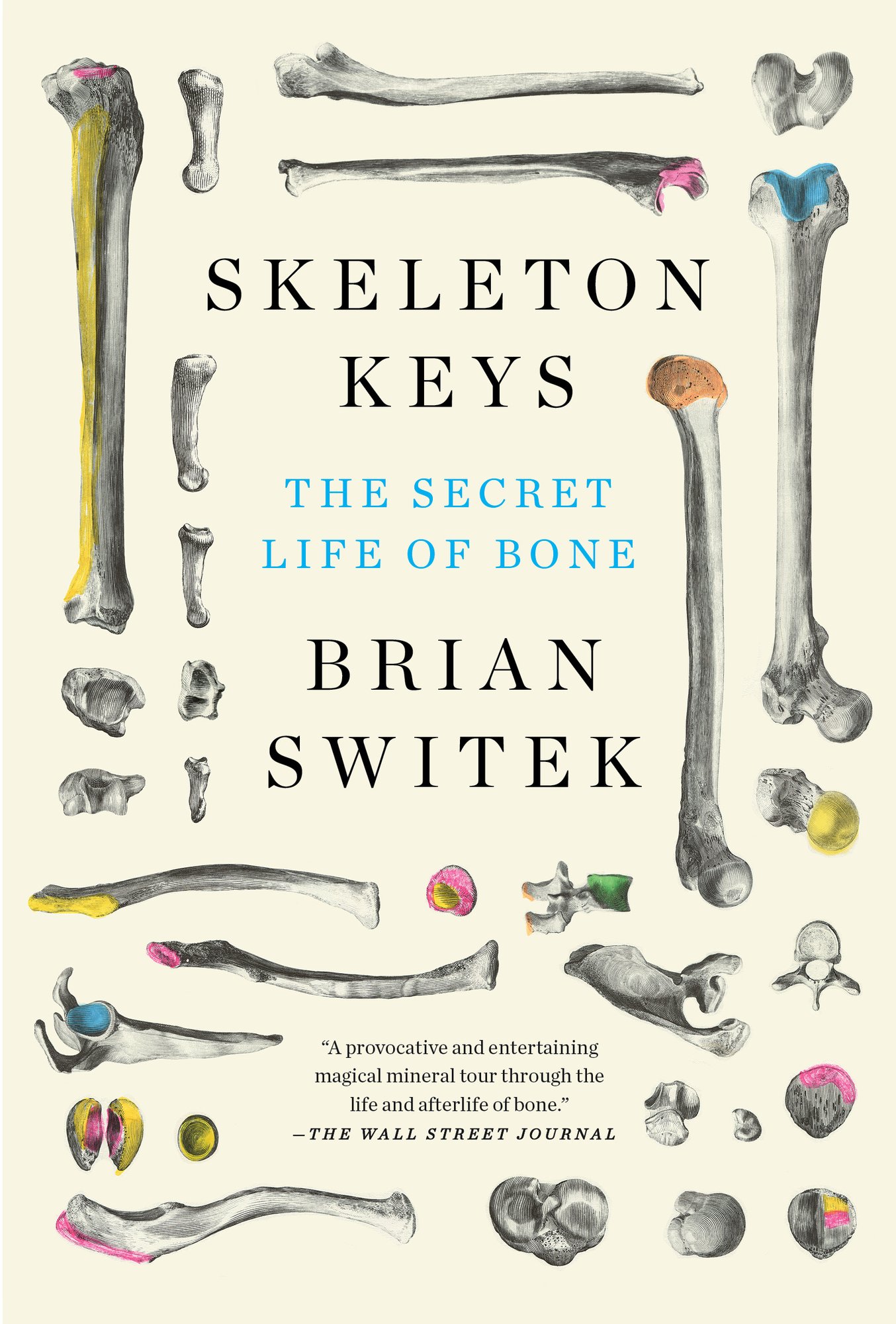 Skeleton Keys a book by Riley Black (Brian Switek) - Bookshop.org US