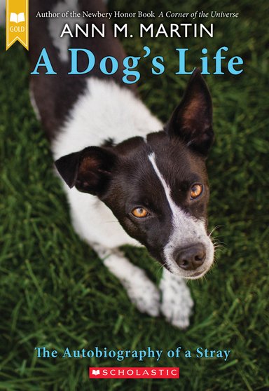 Book cover of A Dog’s Life: The Autobiography of a Stray by Ann M. Martin, featuring a black and white dog standing on grass and staring up at the viewer.
