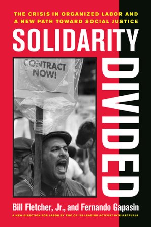 Solidarity Divided bookcover