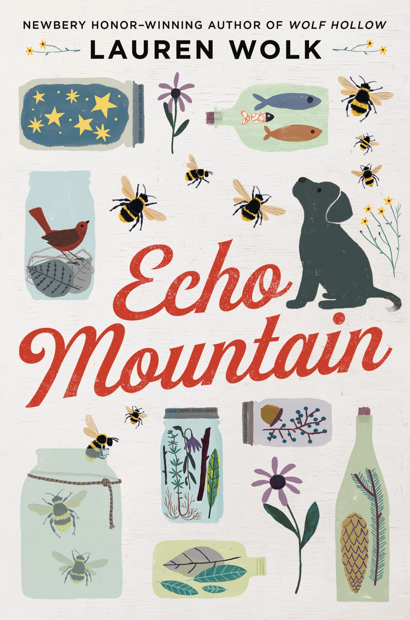 Echo Mountain bookcover