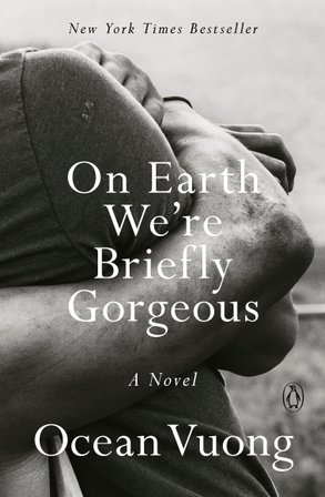 On Earth We're Briefly Gorgeous bookcover