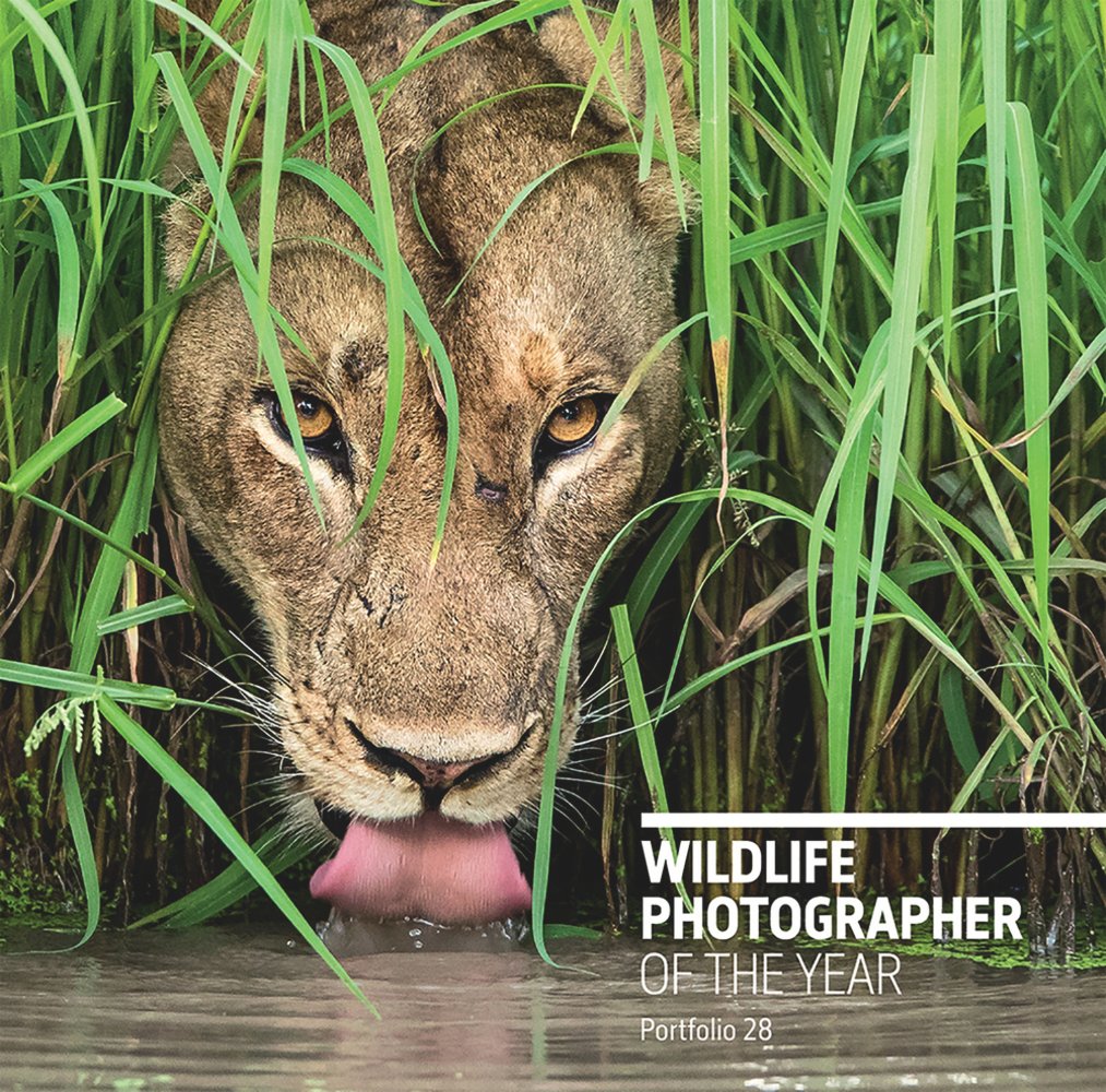 Wildlife Photographer of the Year: Portfolio 28 a book by Rosamund