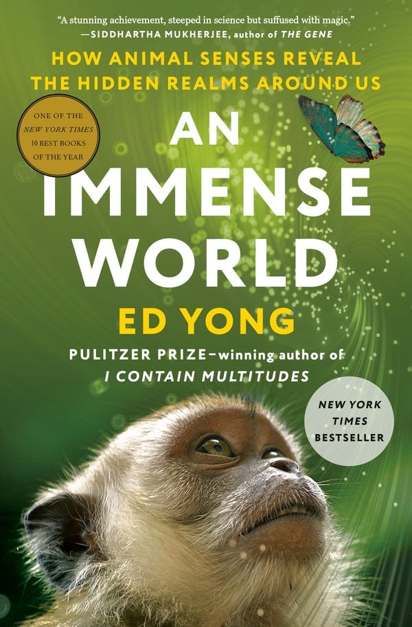Cover of An Immense World