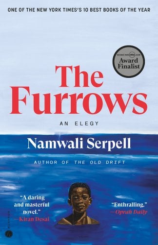 The Furrows by Namwali Serpell book cover