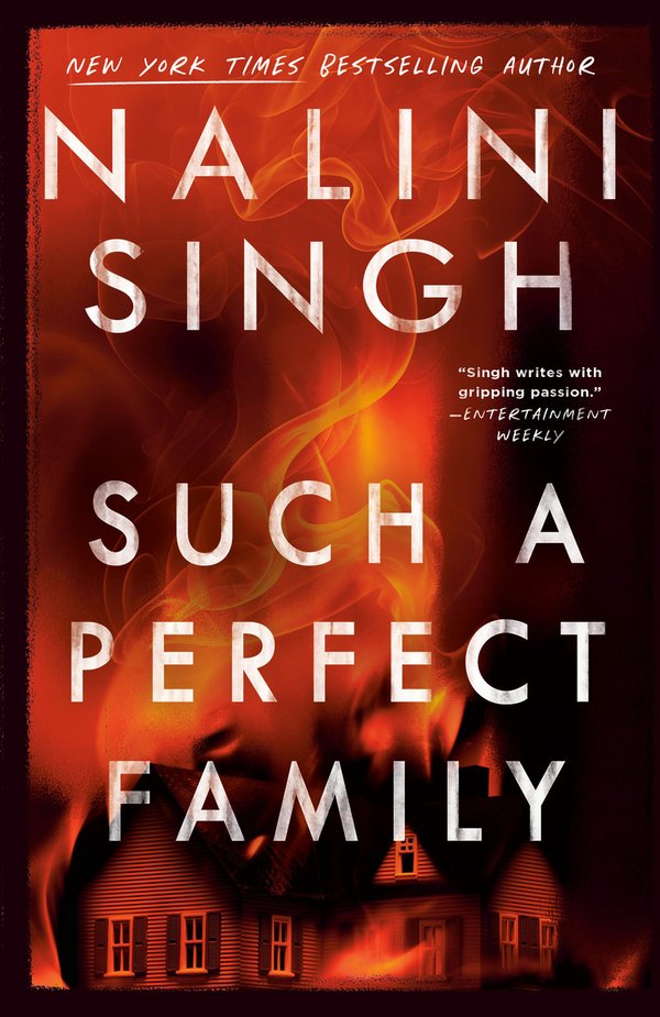 Such a Perfect Family bookcover