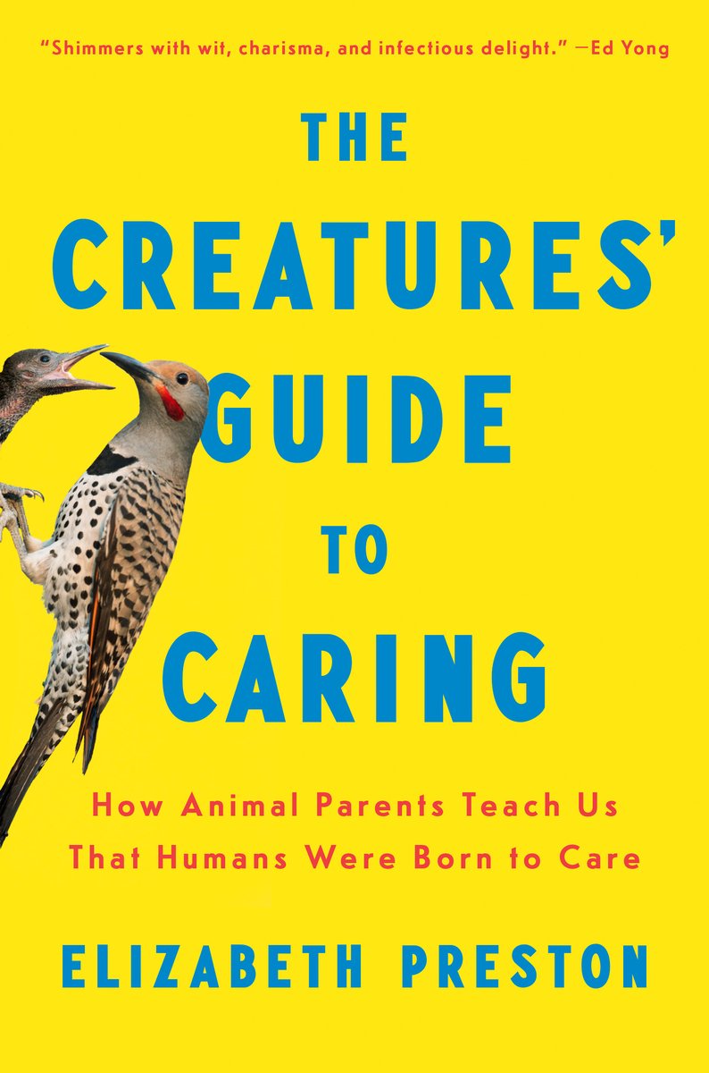 Caring Book The Creatures' Guide to Caring a book by Elizabeth Preston - Bookshop ...