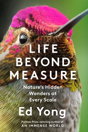 Life Beyond Measure bookcover