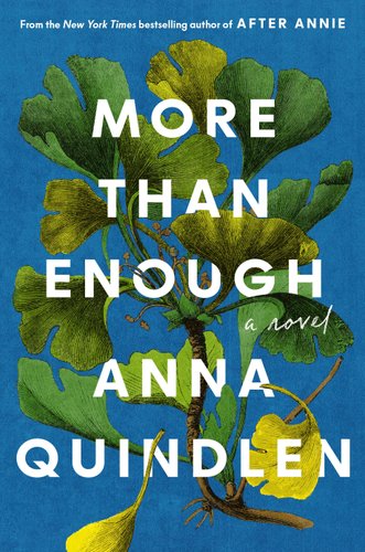 More Than Enough bookcover