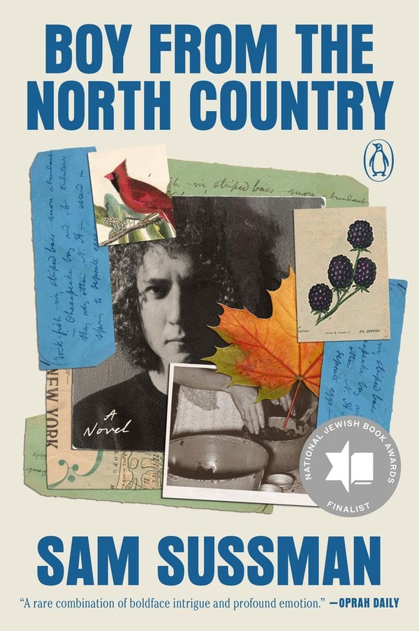 Boy from the North Country bookcover