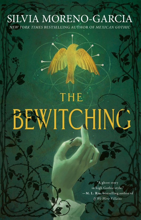 The Bewitching bookcover
