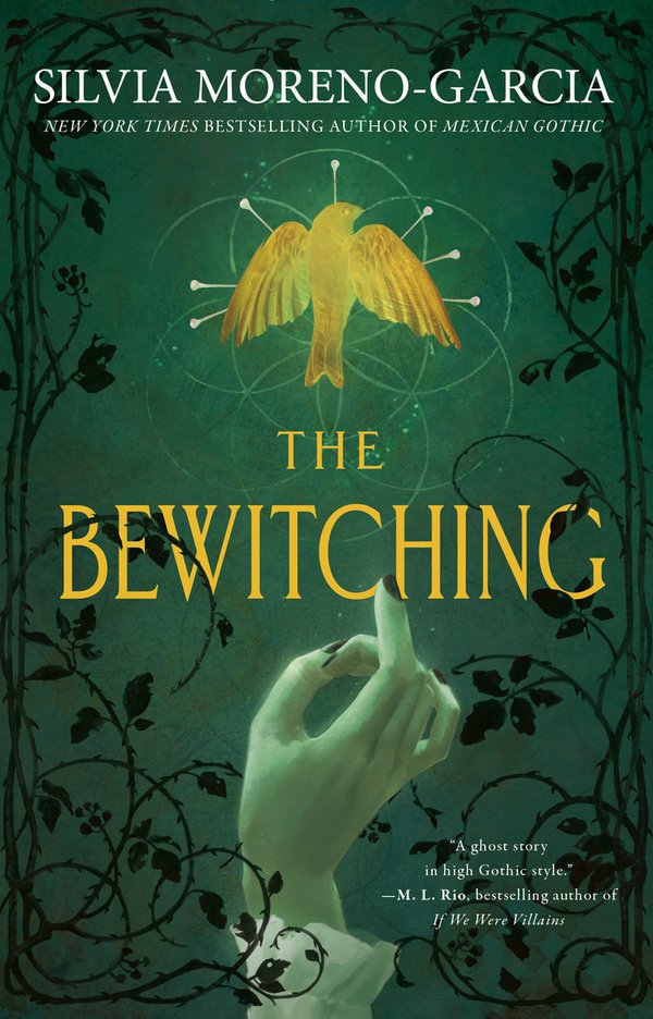 The Bewitching bookcover