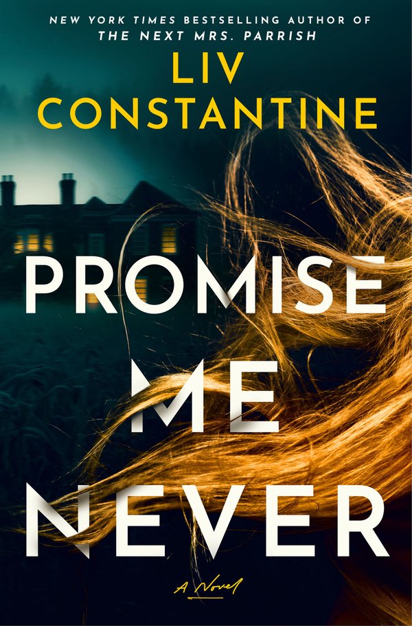 Promise Me Never bookcover