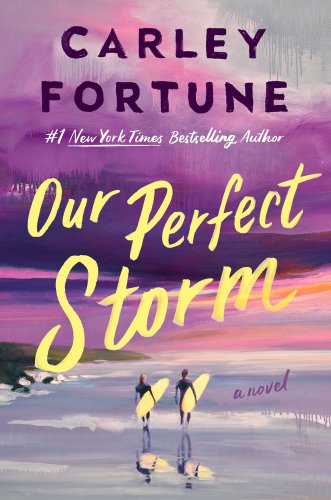 Our Perfect Storm bookcover