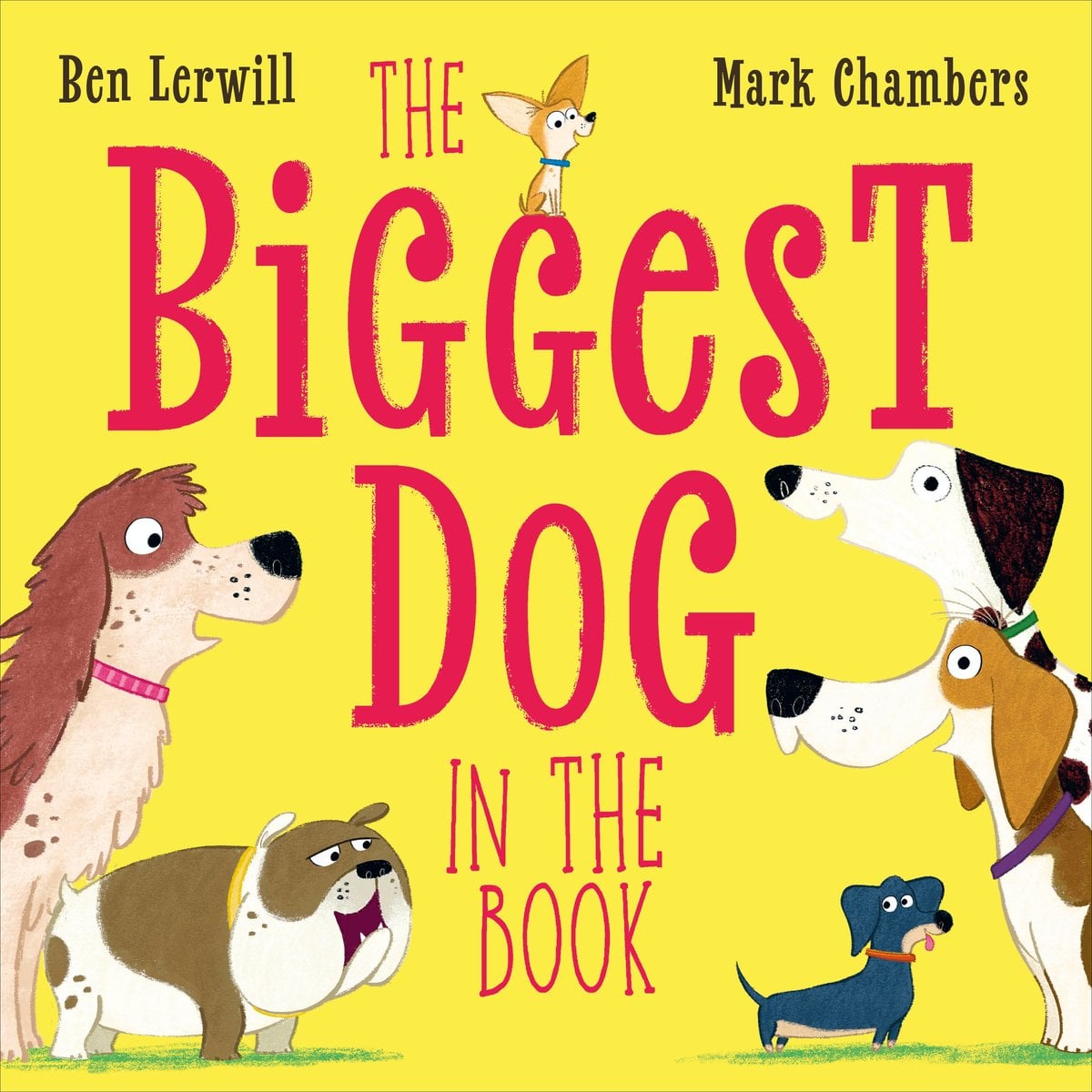 Book cover for The Biggest Dog in the Book by Ben Lerwill, illustrated by Mark Chambers. A bright yellow cover, the title is written in red with a small orange and white dog with a blue collar sitting on the second 'g' of biggest. Various dogs flank the title: on the left is a brown and cream colored dog with a pink collar and a dark brown and white pug with a yellow collar. On the right is a black and white Dalmatian with a green collar, a brown and white beagle with a brown collar, and a small black and brown dog with a red collar.
