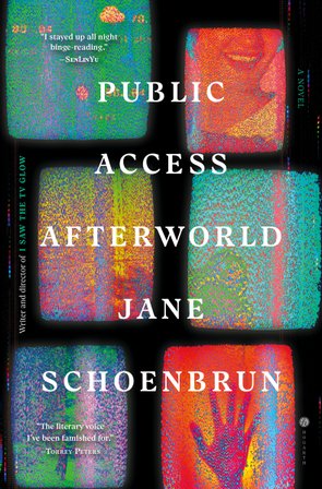 Public Access Afterworld bookcover