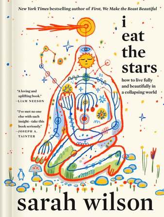 I Eat the Stars bookcover