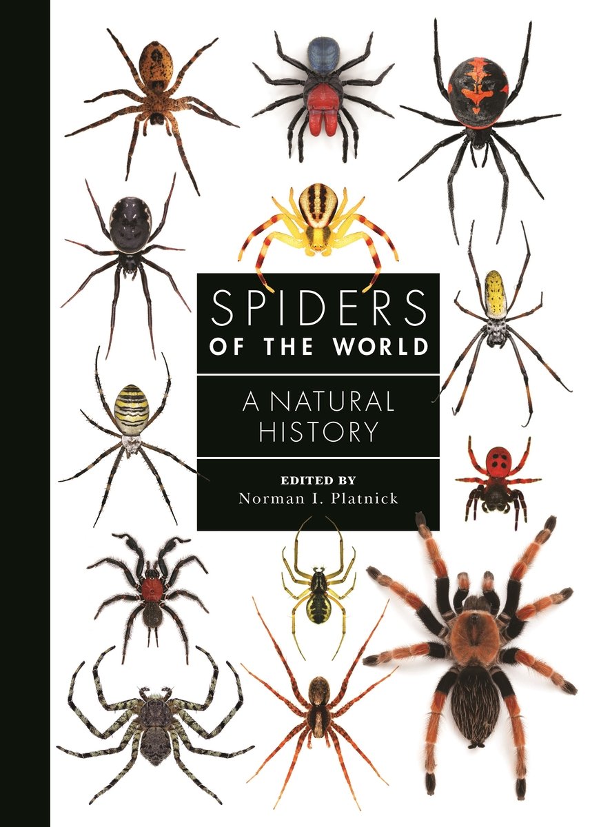 Spiders of the World a book by Norman I Platnick, Rudy Jocqué, Gustavo ...