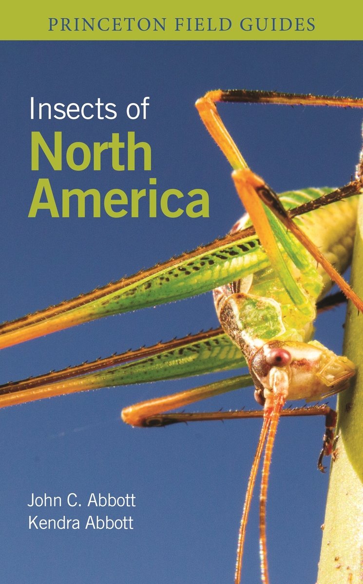 Insects of North America a book by Chief Curator & Director of Museum ...