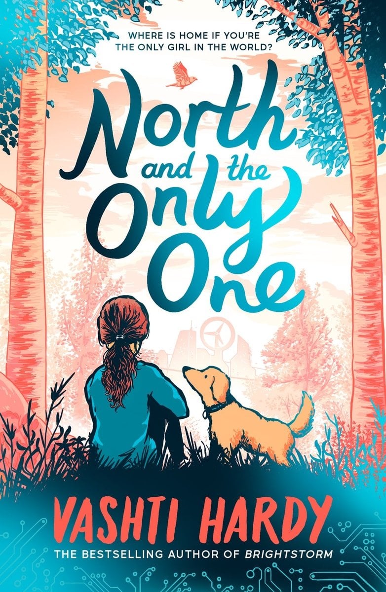 Front cover of North and the Only One by Vashti Hardy