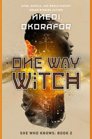 One Way Witch bookcover