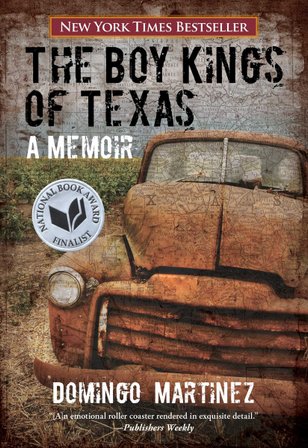 Boy Kings of Texas bookcover