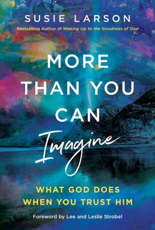 More Than You Can Imagine bookcover