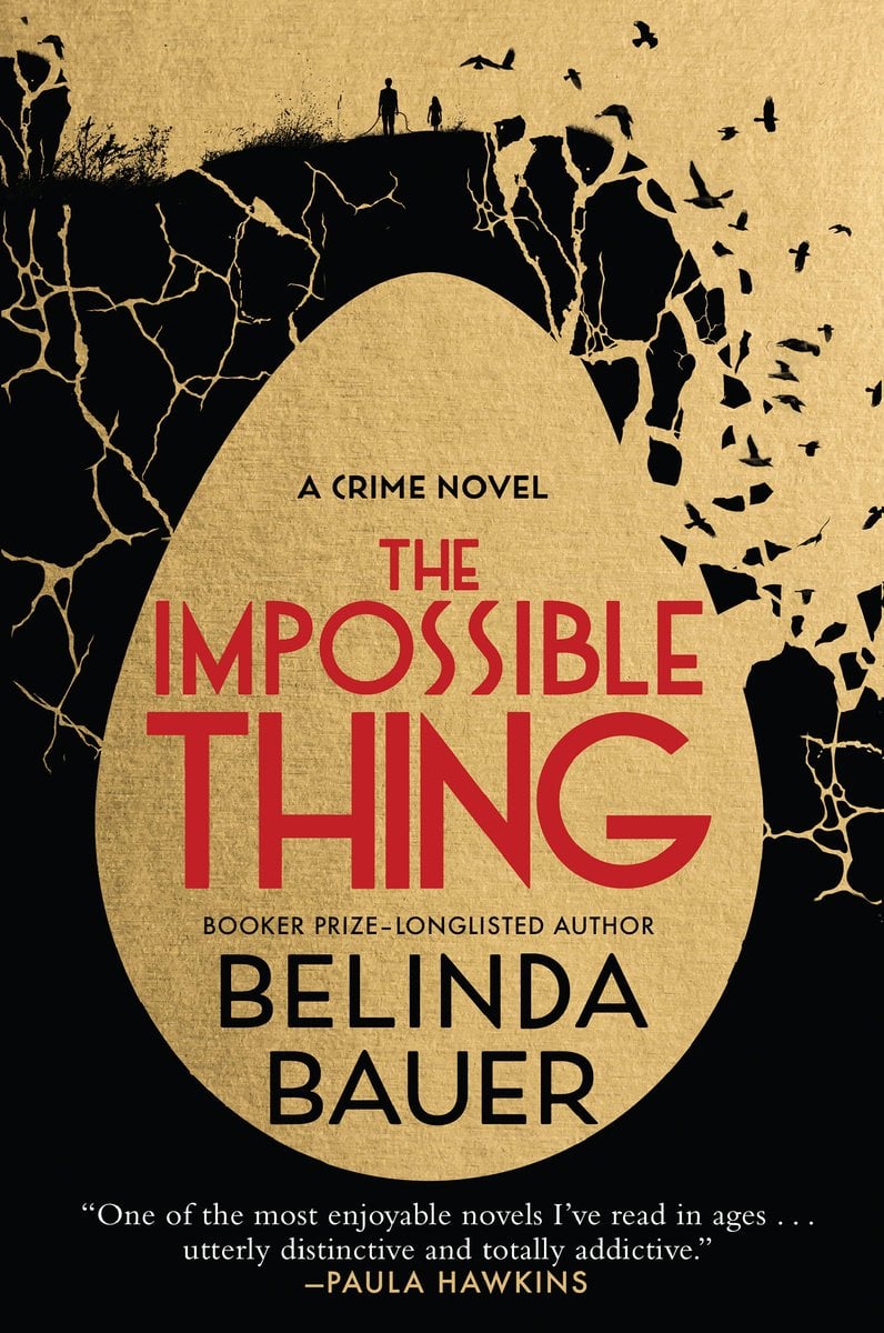 The Impossible Thing bookcover