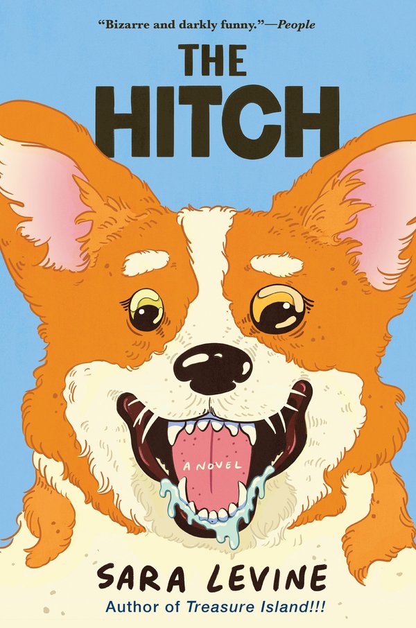 The Hitch bookcover