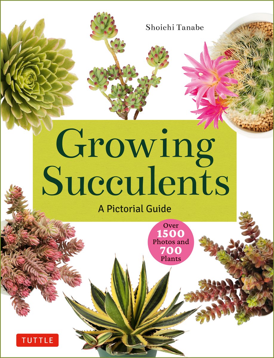 Growing Succulents a book by Shoichi Tanabe - Bookshop.org US