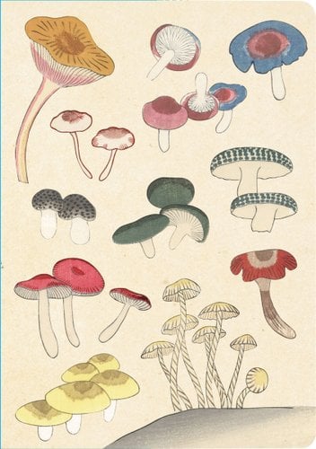 Healing Mushrooms Lined Paperback Journal book cover
