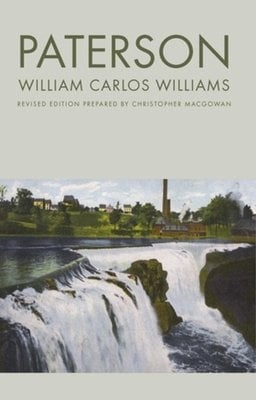 Book cover of Paterson with a picture of a big waterfall and a green town in the background, and a pale green background for the whole background.